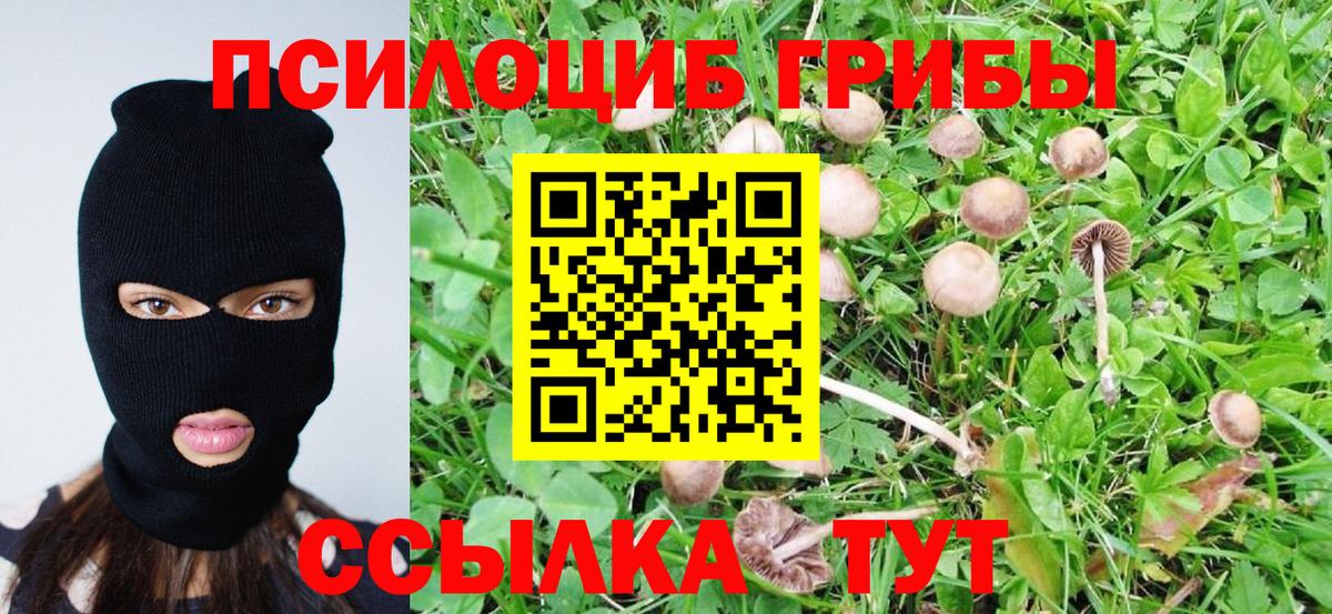 Галлюциногенные грибы ЛСД Чистополь