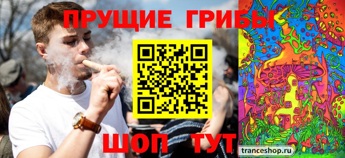 Псилоцибиновые грибы мухоморы  Вход с VPN  Чистополь  купить наркотик  Псилоцибиновые грибы Psilocybine cubensis 